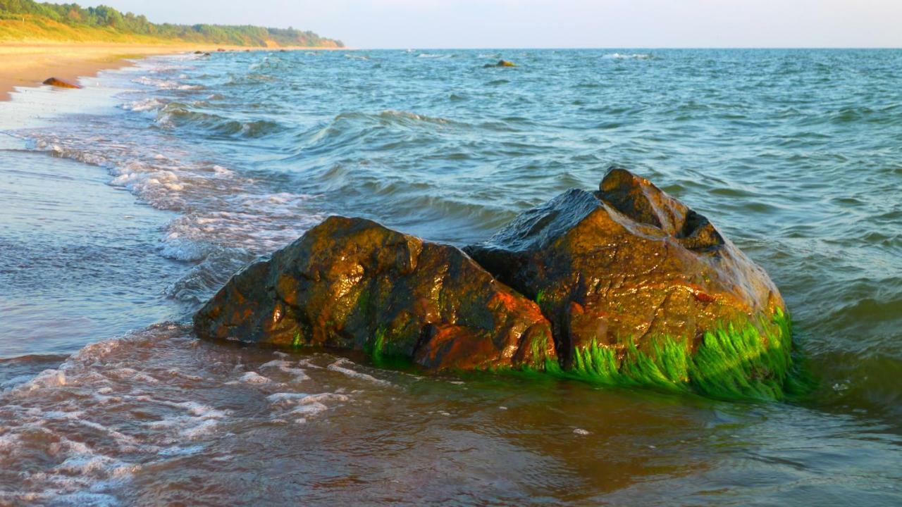 Provincija Hotell Palanga Exteriör bild